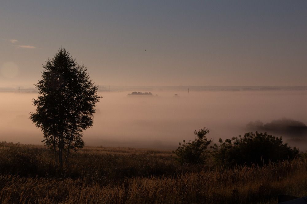 Photograph by Маргарита Зорина