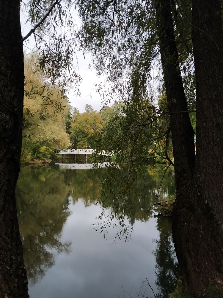Photograph by Нонна Евдокимова