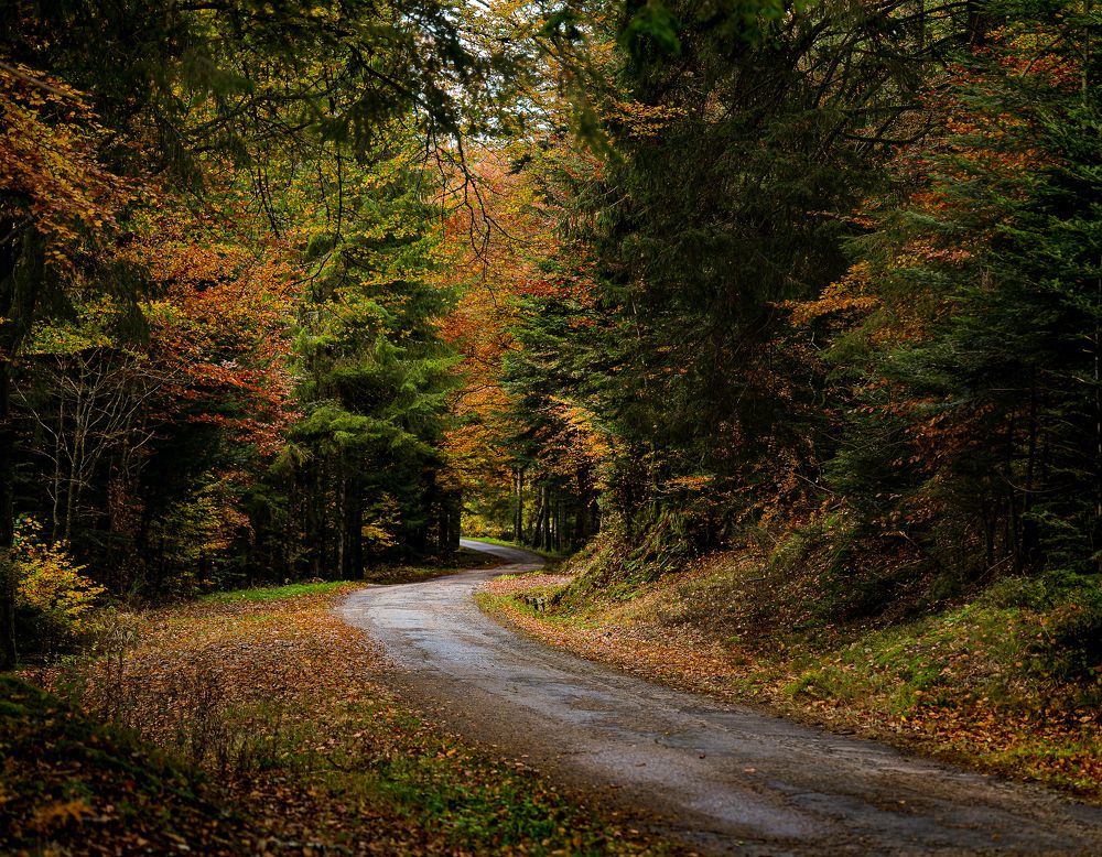 Photograph by Valentina Acrement