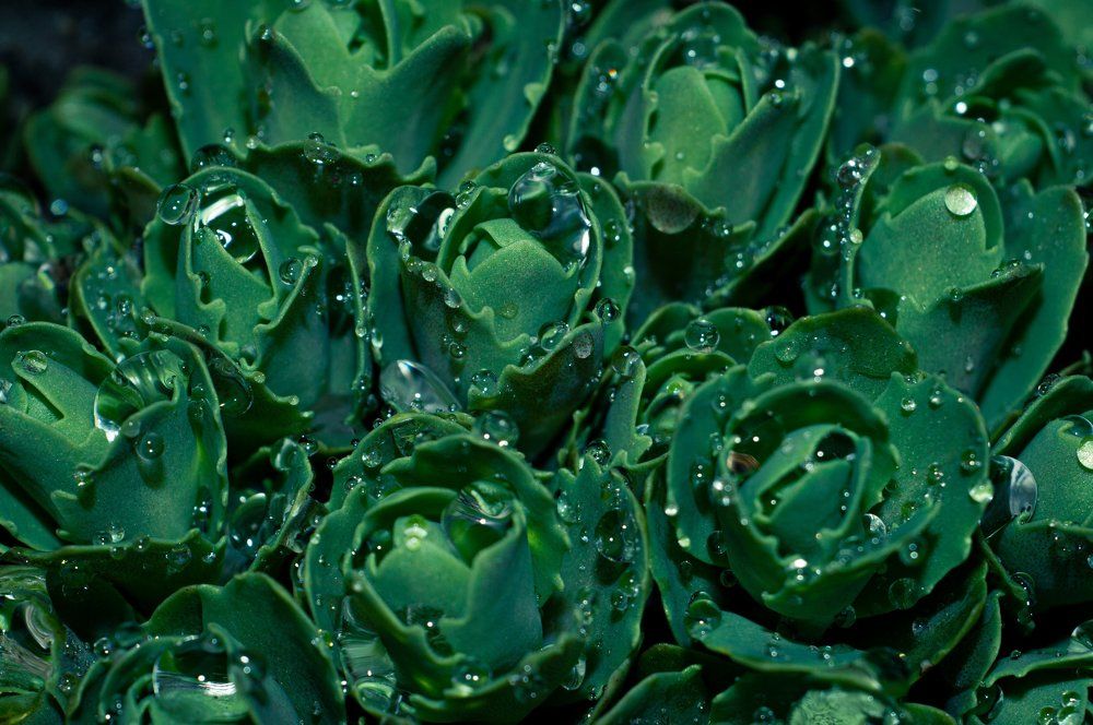 Photograph by Вячеслав Смеликов