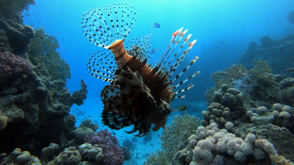 Photograph by Мария Берёзка