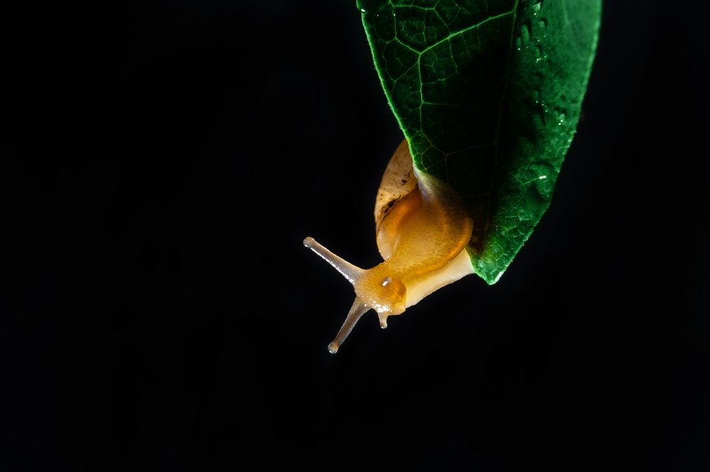 Photograph by ANGELA MACARIO