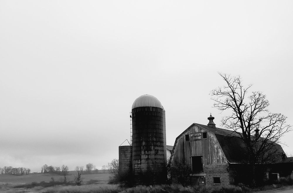 Photo #6037141
