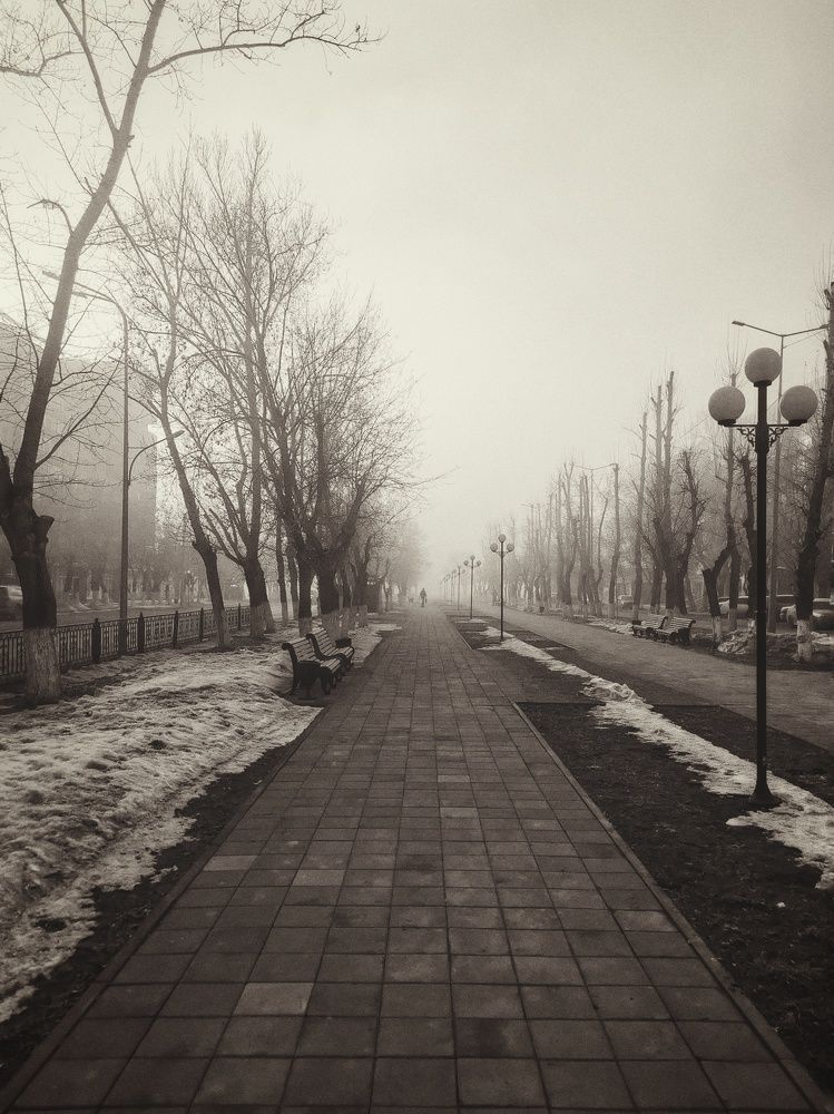 Photograph by Сердюков Вадим