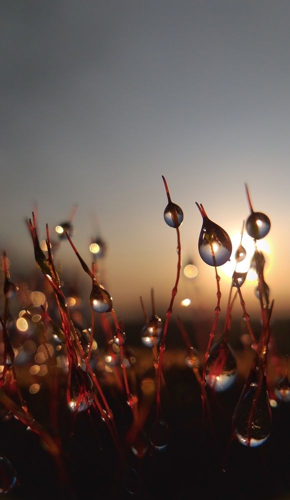 Photograph by Inna Kabanovich