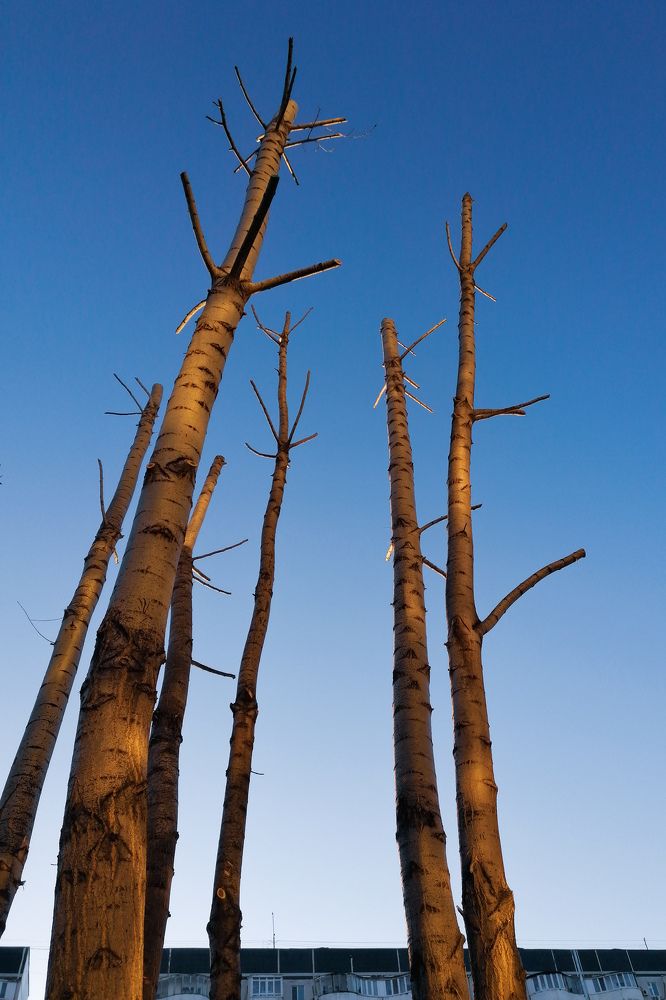 Photograph by Оксана Артемьева