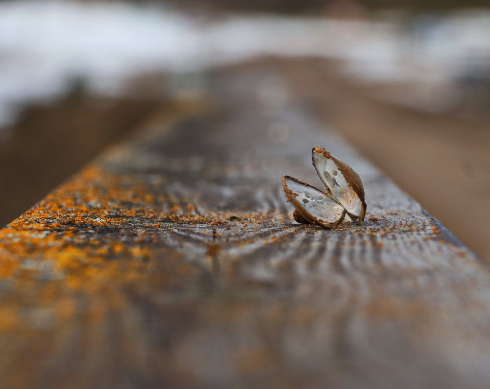 Photograph by Евгений Михеев