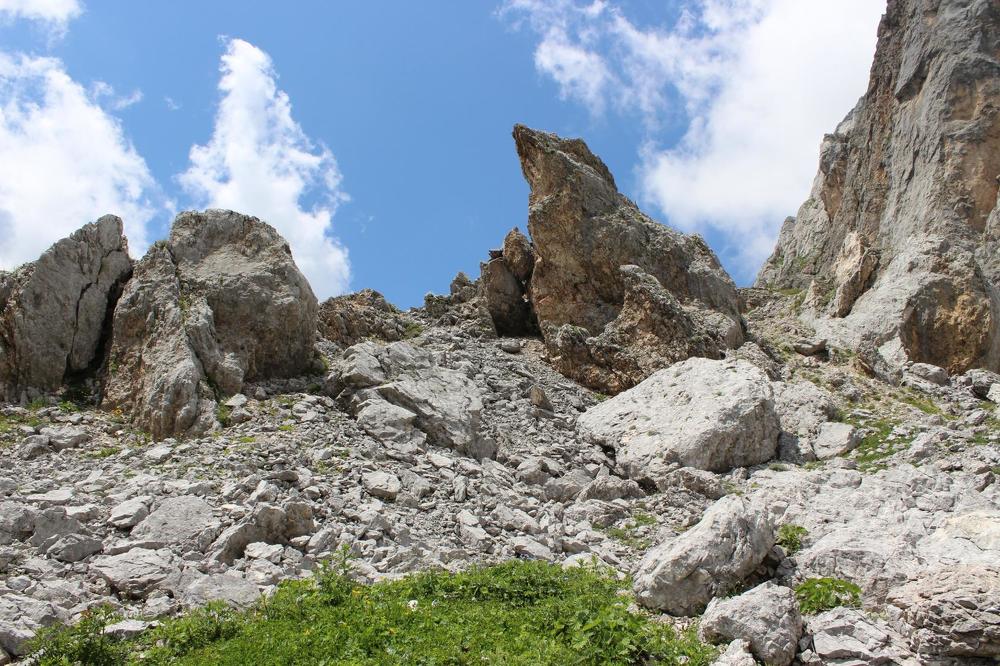 Каменная рептилия