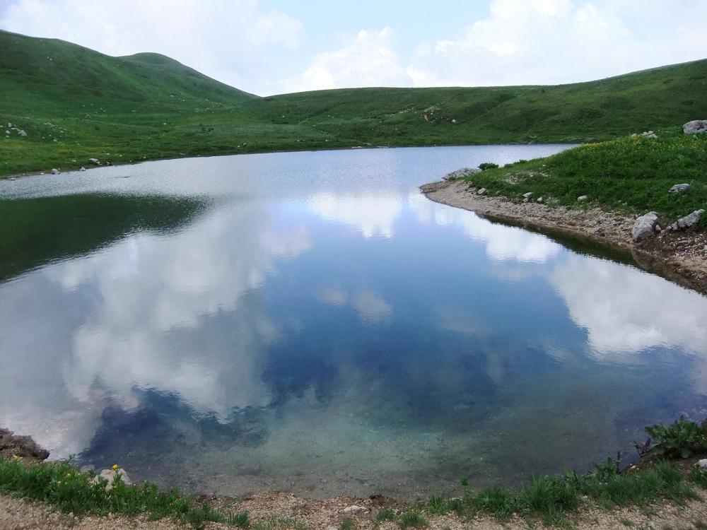 Photograph by Ирина Шугаева