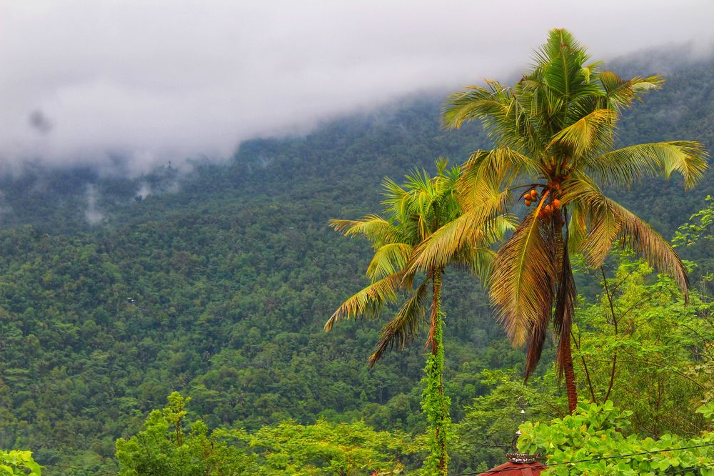 Story in the morning