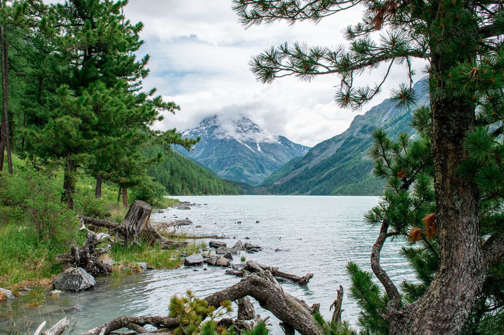 Photograph by Анастасия Легасова