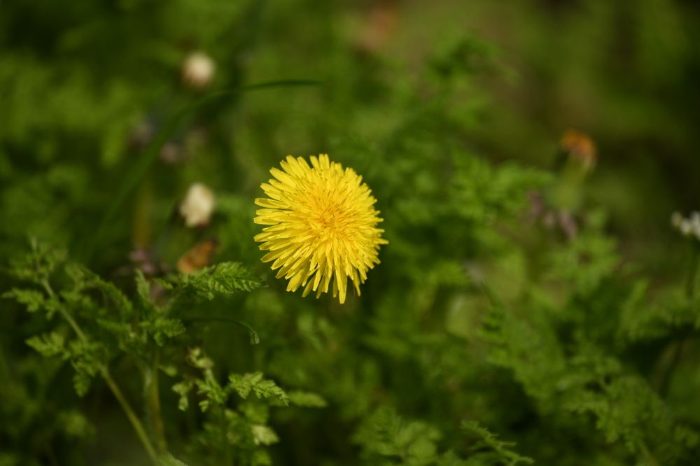 Photograph by Photobonum ZT