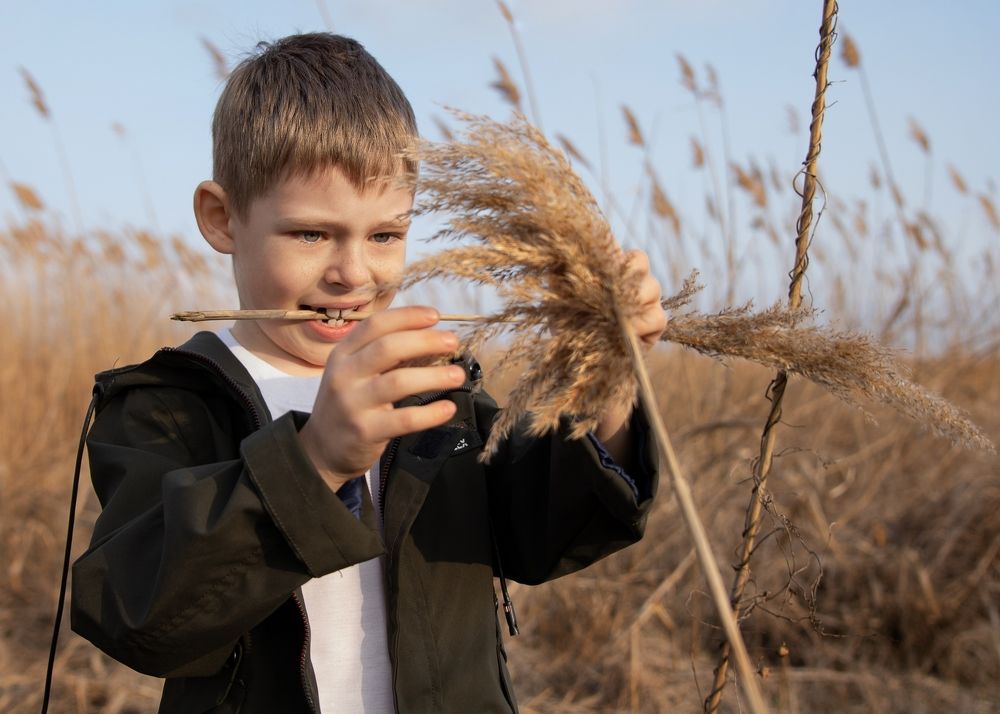 Photograph by Ирина Колмыкова Колмыкова