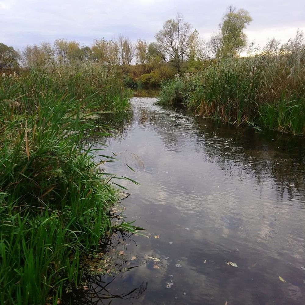 Photograph by Оксана