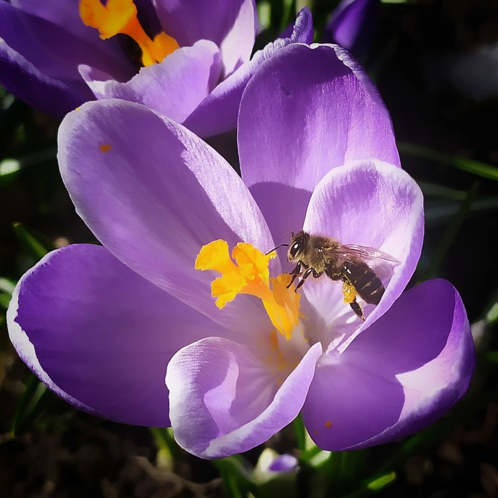 Photograph by Елена Павлова