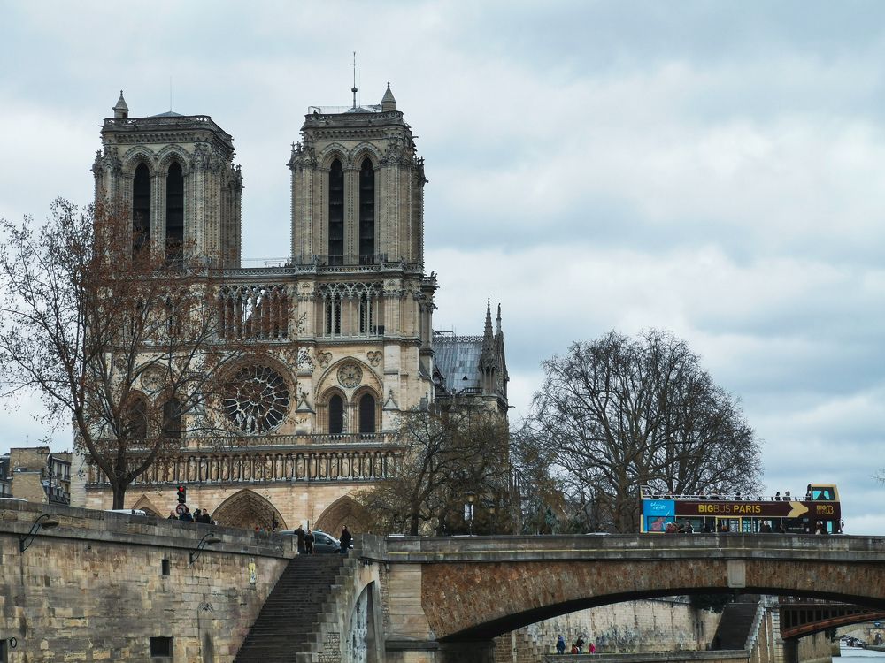 Photograph by Michael Deligan