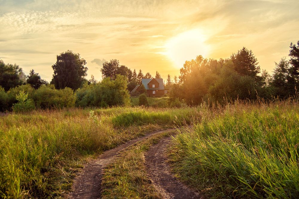 Photograph by Маргарита Гасец