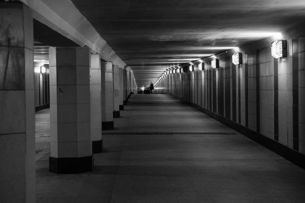 Photograph by Юлия Старостина