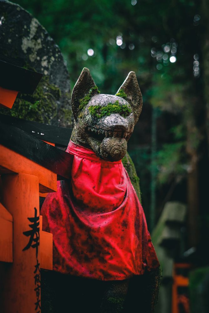 Photograph by Andrey Maksimov