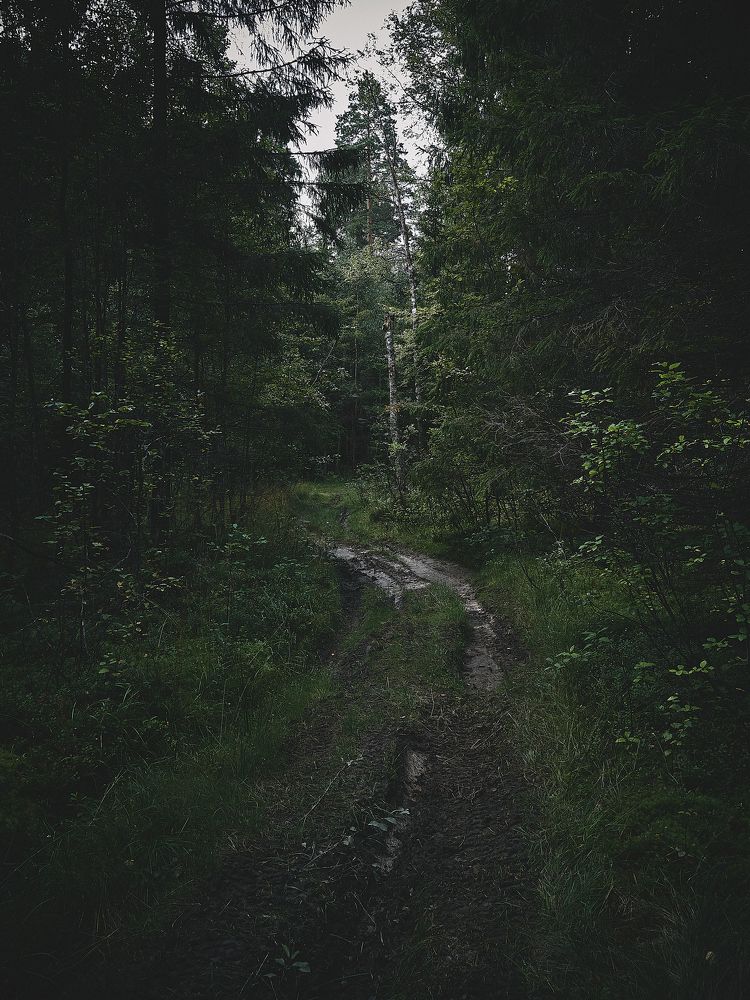 Фотография автора Александр Османов