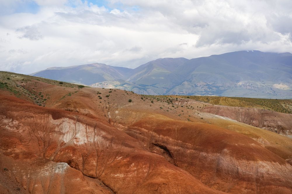 Photograph by Татьяна Предеина