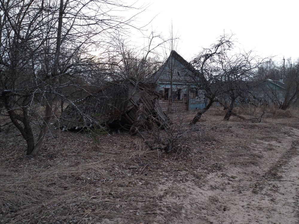 Photo #6037915