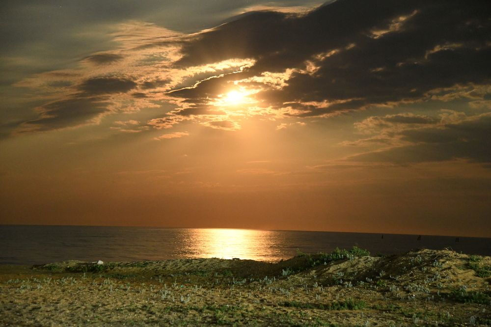 Photograph by Photobonum ZT