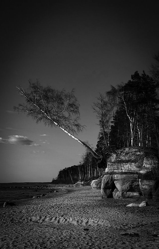 Photograph by Кристина Вингре