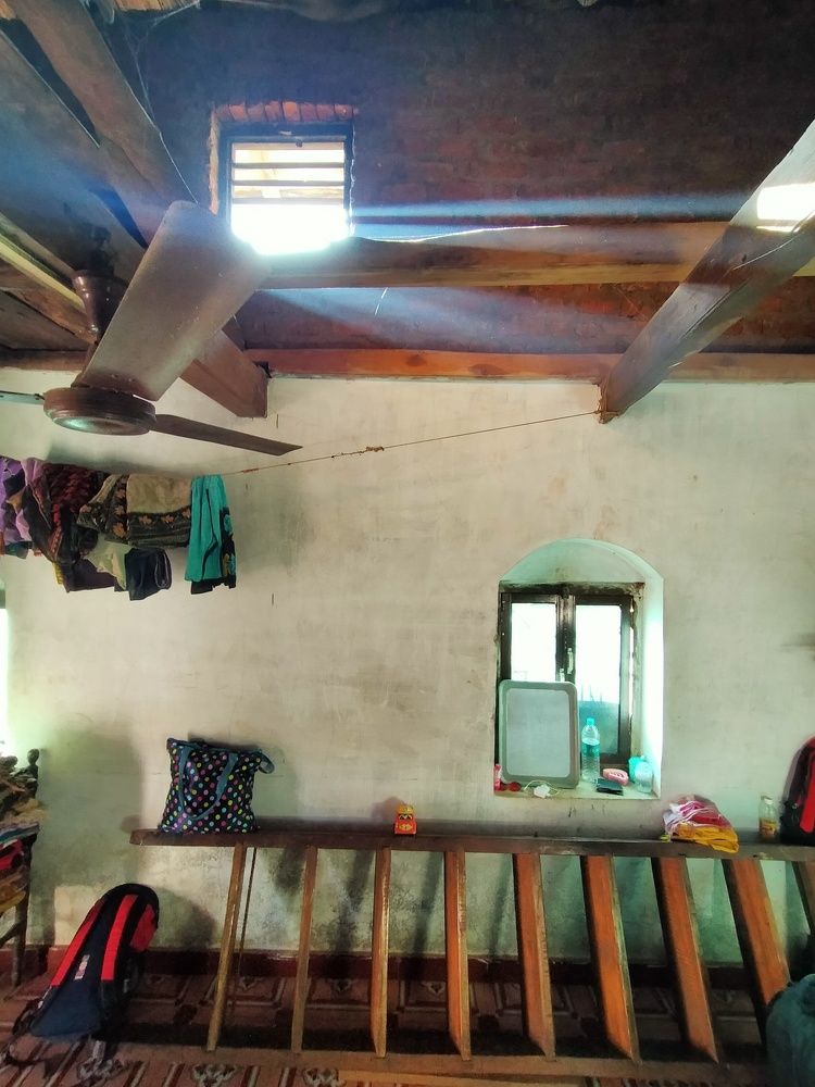 Photo #6037989