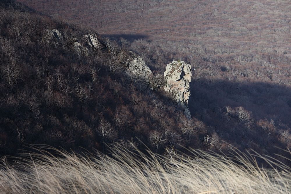 Photograph by Мария Харлашова