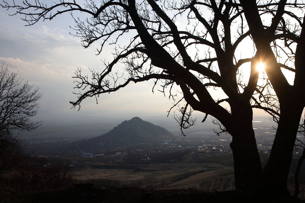 Photograph by Мария Харлашова