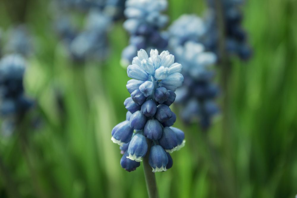 Photograph by Сергей Баранов