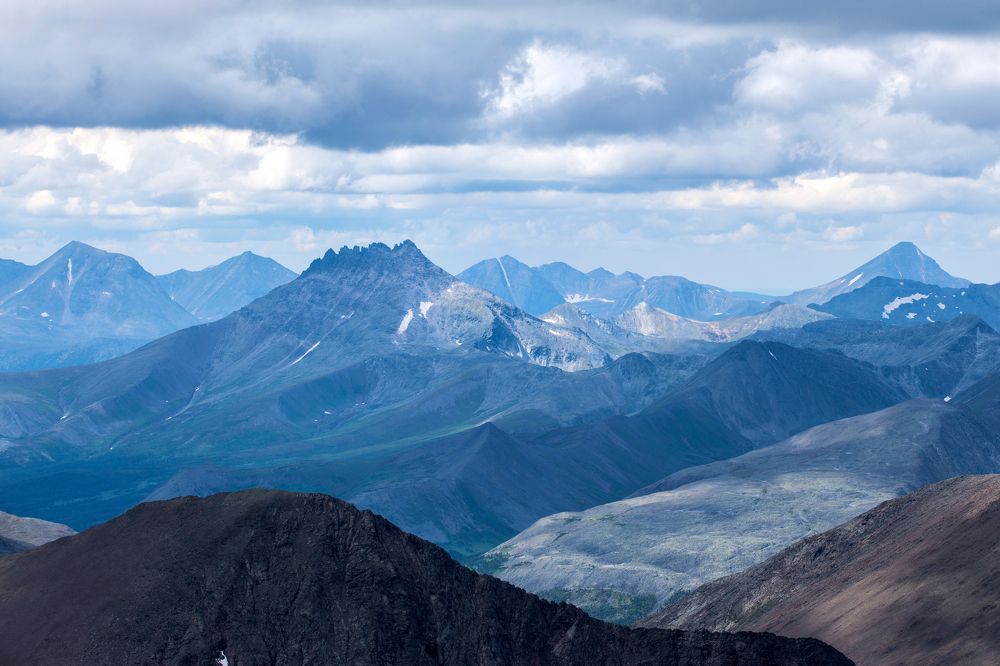 Семиголовая.