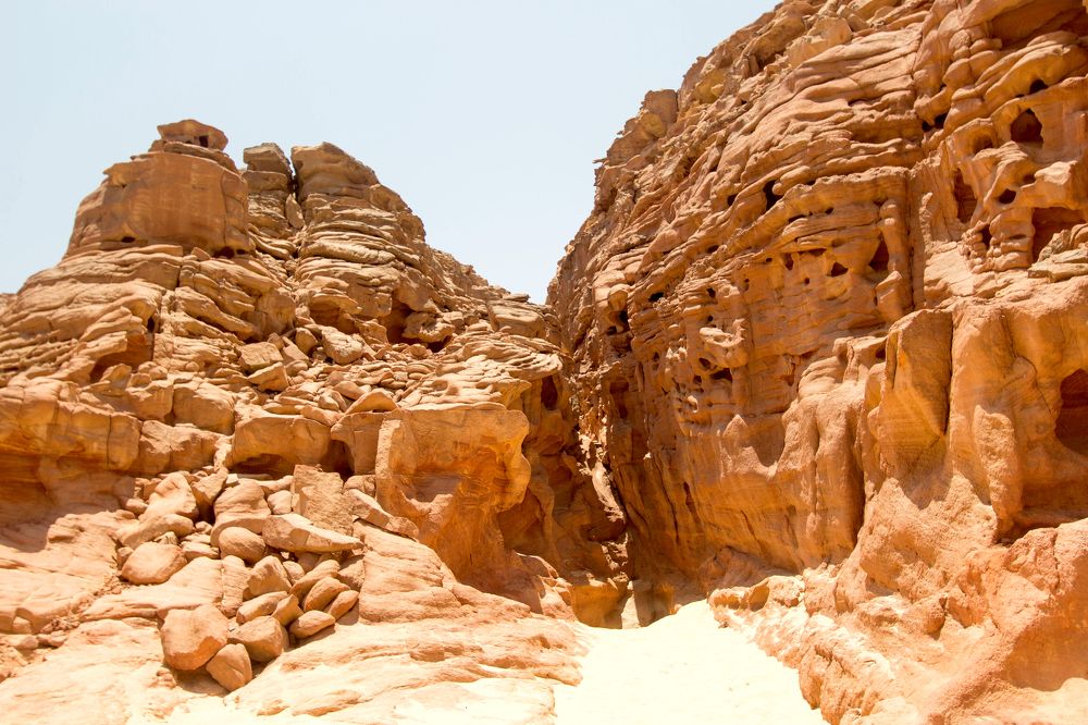 Photograph by Галина Шарапова