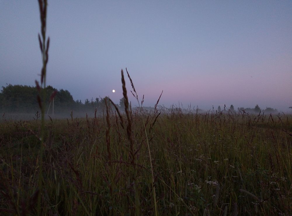 Photograph by Елизавета Попова