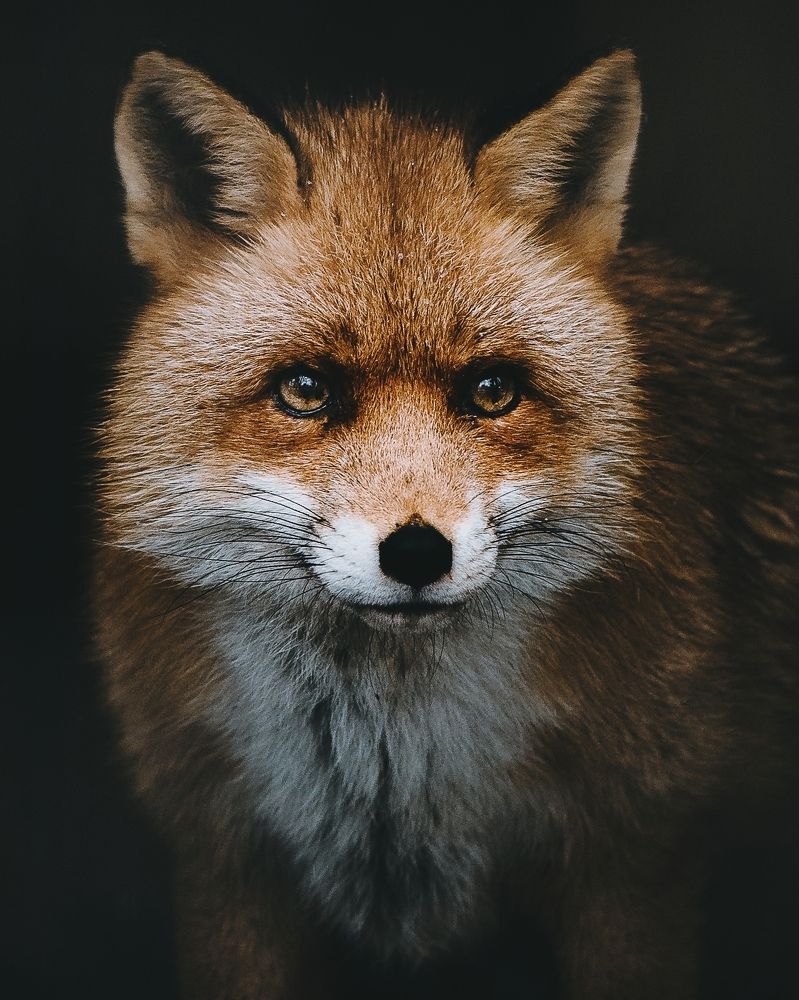 Photograph by Vladyslav Lihostai