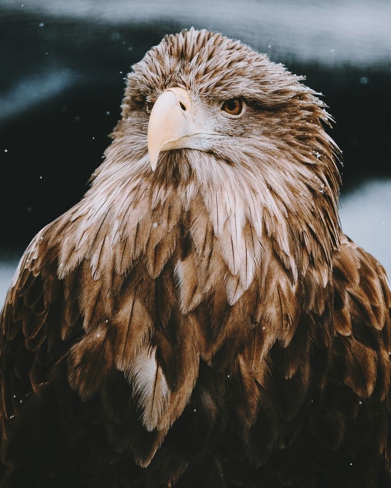 Photograph by Vladyslav Lihostai