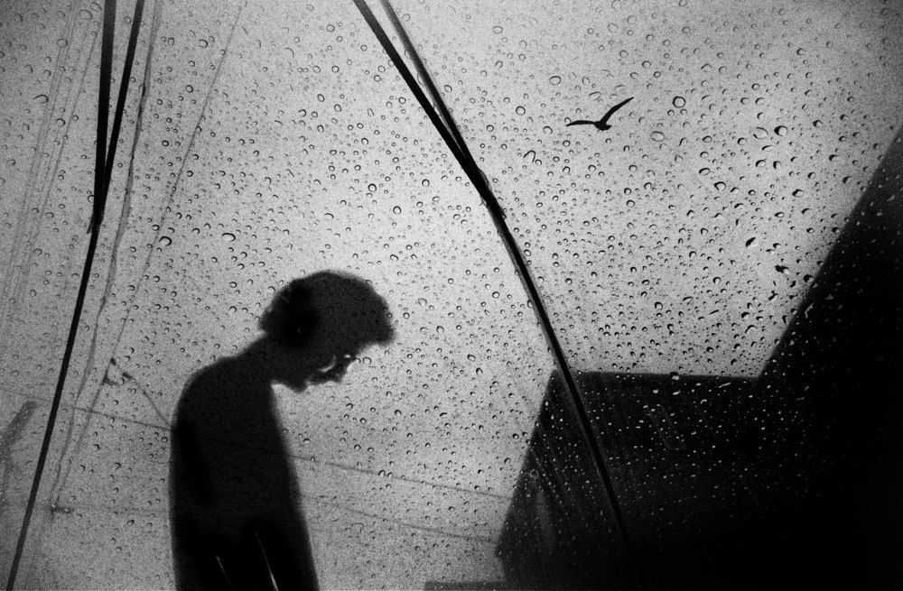 Photograph by Mobina Eidani