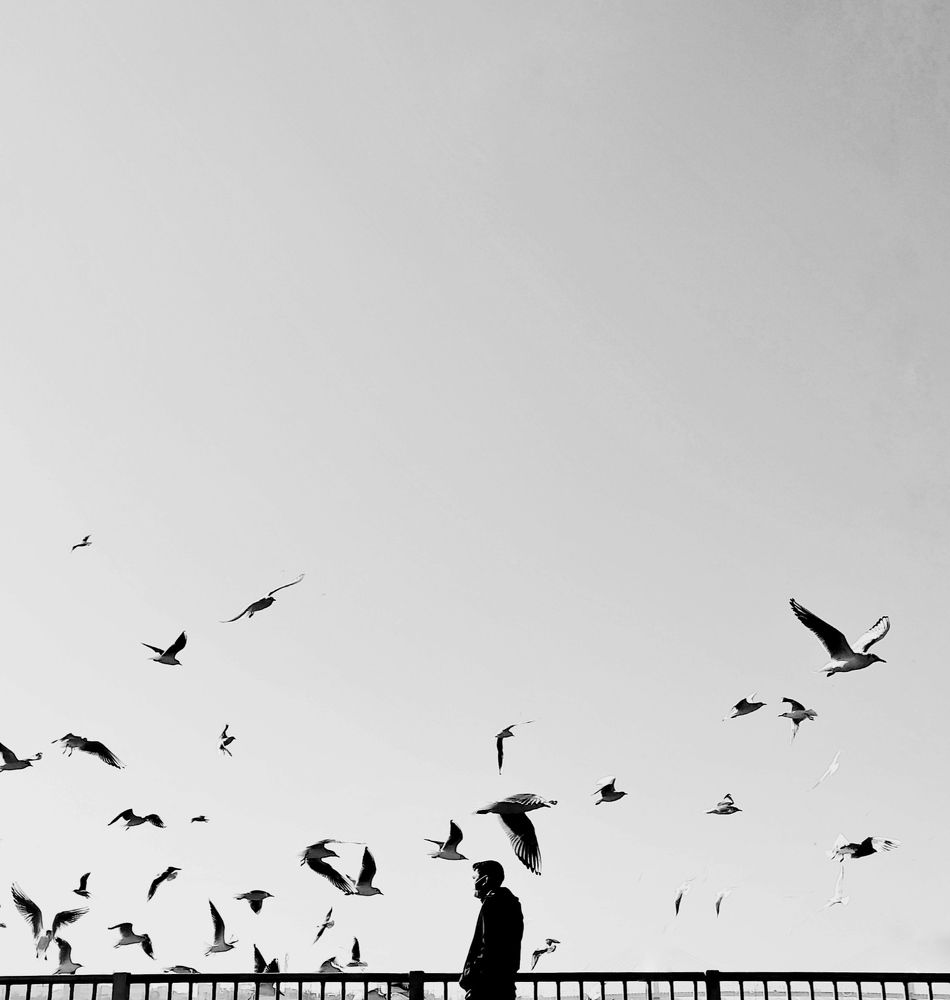 Photograph by Mobina Eidani