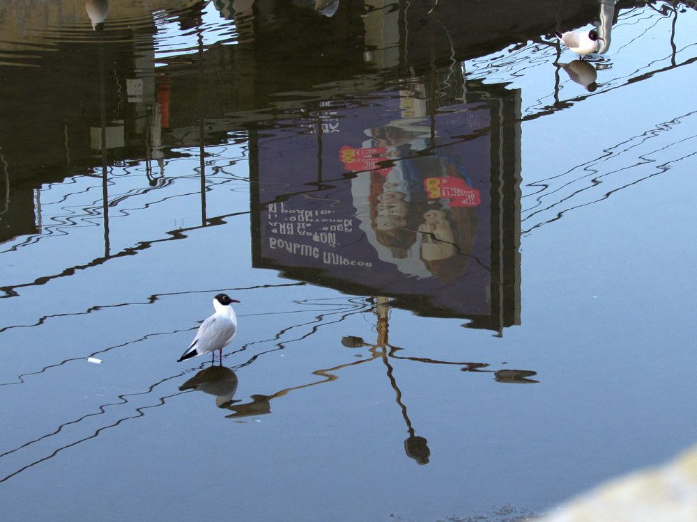 Смотрит телевизор.