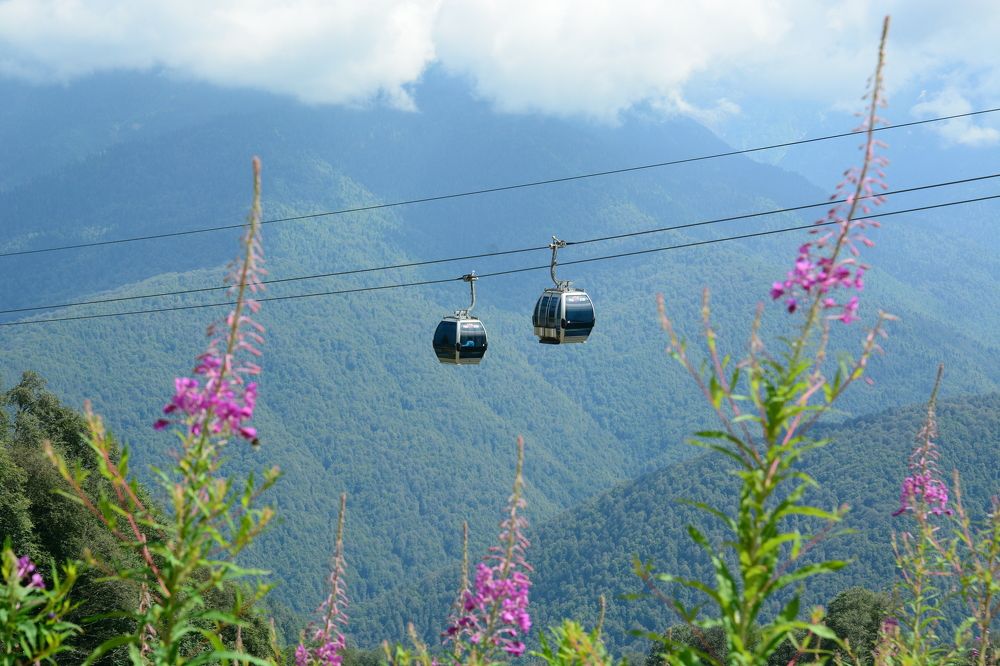 Photograph by Сергей Кривоносов