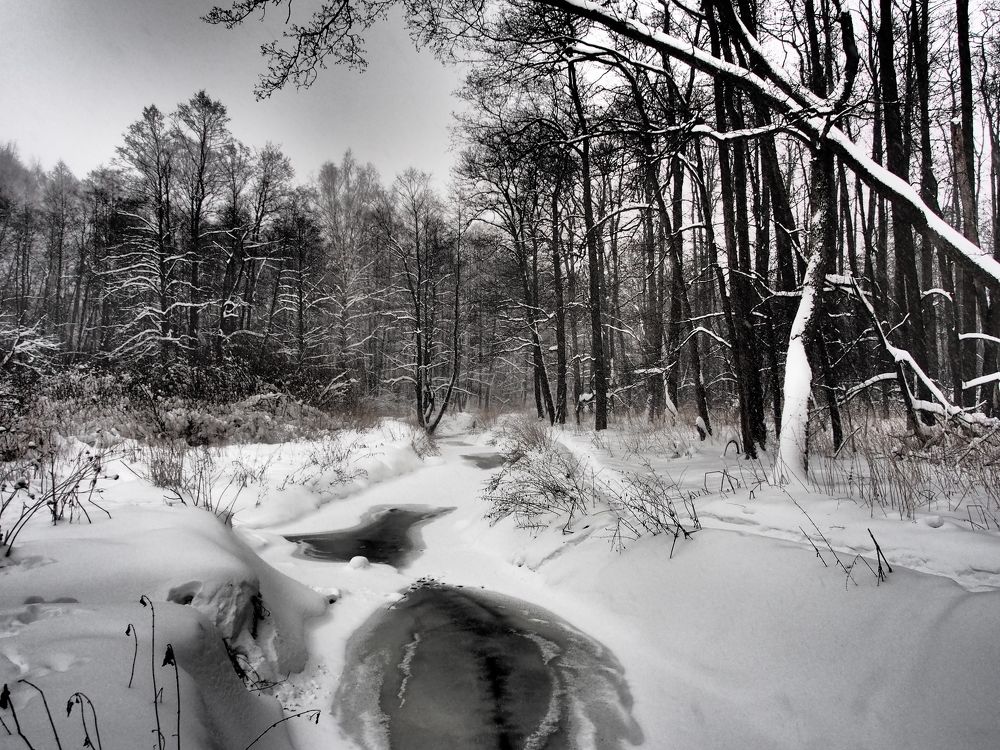 Winter panorama with snowfall.