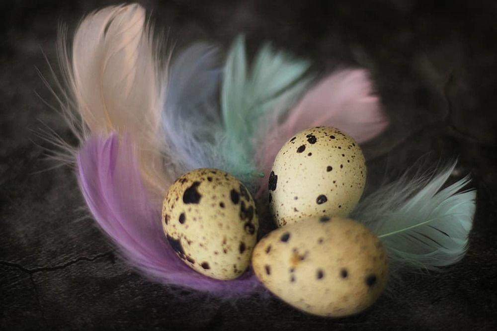 Photograph by Ирина Попкова