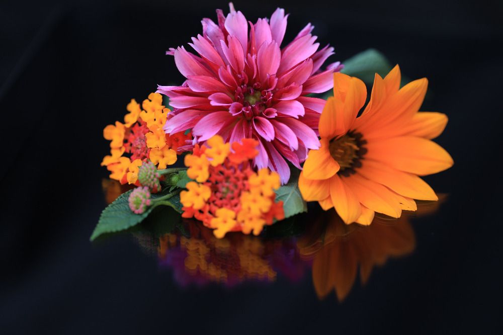 Photograph by Ирина Бунина