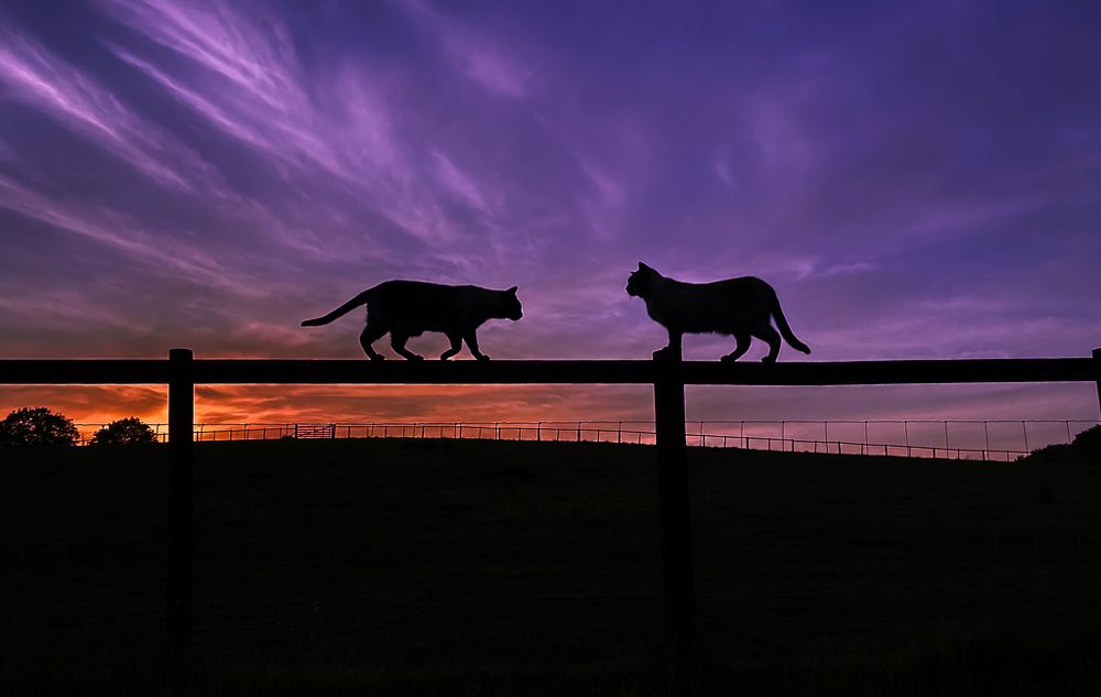 Photograph by LYUDMYLA POKRYSHEN