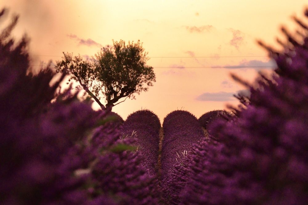 Photograph by Малика Маткарим