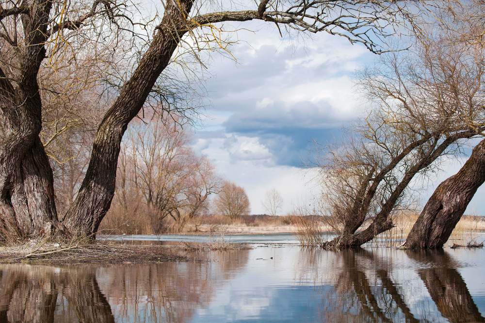 Photograph by Любовь Онщенко