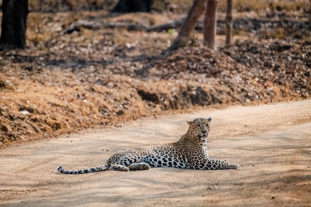 Photograph by Jayanth G