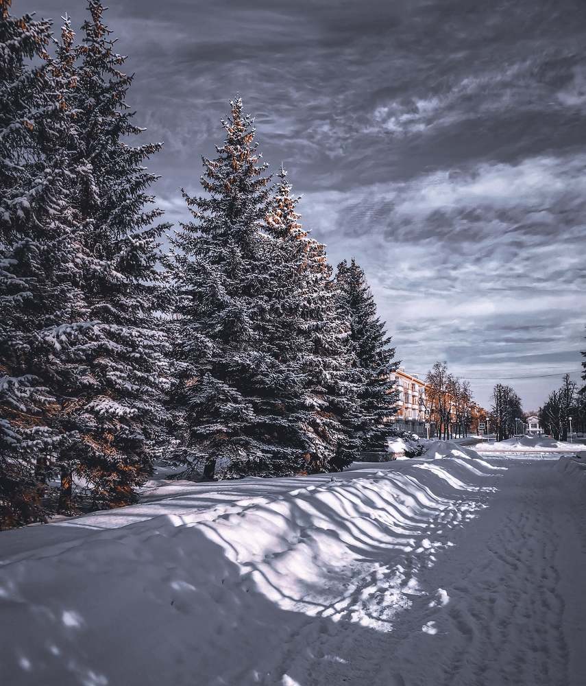 Photograph by Галина