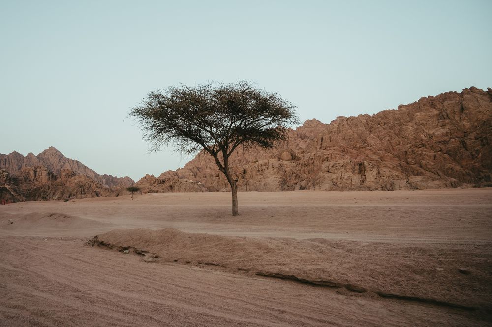 Photograph by Ionut Jarca